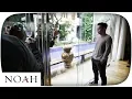 Download Lagu NOAH - Jalani Mimpi | BTS Lyric Video