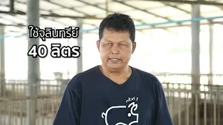 การเลี้ยงหมูหลุมเศรษฐกิจ ตอนที่ 5: คอกหมูแนวใหม่ไร้กลิ่น