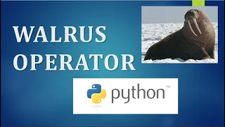 What is the Walrus Operator Python 3 8