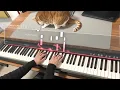 【MIRROR鋼琴系列】  半 - Jeremy 李駿傑 【🎹鋼琴版 Piano Cover by Wun Piano】