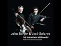 Works for mandolin and piano: Adagio ma non troppo WoO 43b