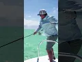 Download Lagu Fly Fishing the Seychelles Islands MP3