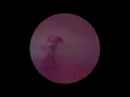 Galdive - Night Charade (Official Visualizer)