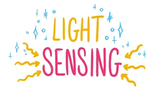 micro bit light sensing