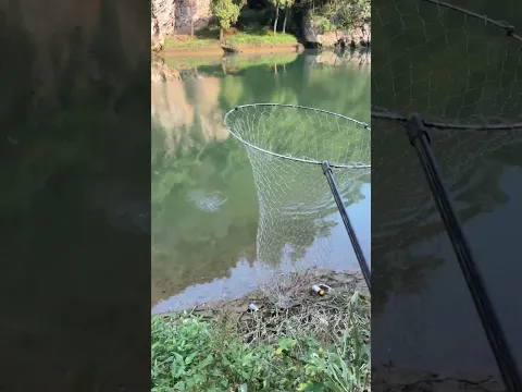What Fish Is This?! An Unexpected Catch! #bigfish #fishing #fishingadventure