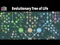 Download Lagu Evolutionary Tree of Life (Full Series)