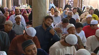رحلة في علم الإمام الإسنوي: المنهج الذي اعتمده في التمهيد في تخريج الفروع على الأصول | أ.د علي جمعة