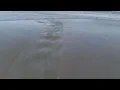 Ocean Low Tide Marine Life Daytona Beach Florida Ocean Flow Sea Shorline Channeling calm waves