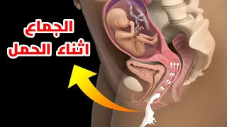 شاهد اين يذهب السائل المنوي في المرأة الحامل Intercourse During Pregnancy 
