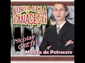 Lagu Nicolae Crețu-Băuturile  îmi plac