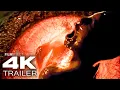 AFFECTION Trailer 2026