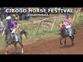 Download Lagu KELAS J CIBOGO HORSE FESTIVAL 2025