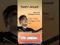 Download Lagu Sapu Jagat Doel Sumbang dan Artinya