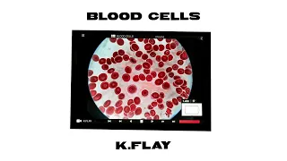 K.Flay - Blood Cells (Official Audio)