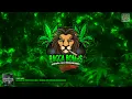 Sub Focus & Fireboy DML & Irah - Original Don (Speaker Louis Bootleg)