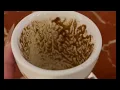 Pisces The Comeback You Didn t See Coming Coffee Cup Reading