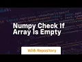 numpy check if array is empty