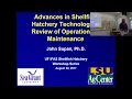 Advances in Shellfish Hatchery Technology and Review of Operational Maintenance Guidelines