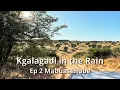 Download Lagu Kgalagadi in the Rain: Ep 2 Mabuasehube