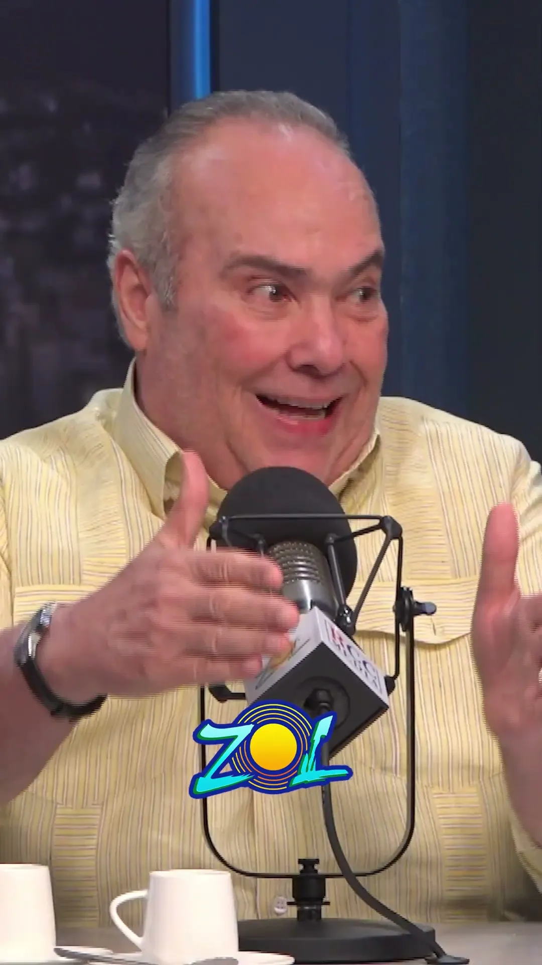 "GONZALO CASTILLO SERÍA CANDIDATO GANADOR DEL PLD"