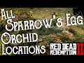 Red Dead Redemption 2 - All 25 Sparrow s Egg Orchid Locations Duchesses and Other Animals Exotics