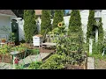 Download Lagu Zomertuinrondleiding, plus nog een doe-het-zelfproject // Hoe groeit het?