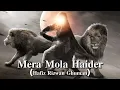Download Lagu Mera Mola Haider || Hafiz Rizwan Ghuman || noha