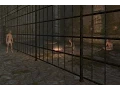 Download Обзор мода Paradise Halls - работорговля в Скайриме mp4 3gp mp3 videos - waplic