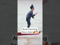 Pacu Jalur, Aura Farming 🛶