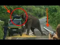 Download Lagu Attack on a paddy lorry en route to Kataragama😱السريلانكيون الذين واجهوا مشاكل الأفيال⁉️️😱
