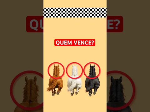 Corrida dos CAVALOS! 🐎