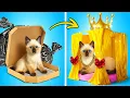 Download Lagu I Adopted a Stray Cat! 🏠 Secret Room for a Homeless Tiny Kitten!