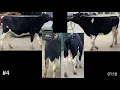 2021 State Dairy Cattle Evaluation CDE