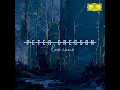 Love Came - Peter Gregson