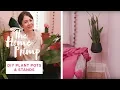 How To DIY Indoor Plant Pots Stands The Home Primp