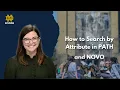 How to Search by Attribute in PATH NOVO