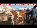 Download Lagu 21-СЕНТЯБРЬ/ХОЖЕЛИ МАЛ БАЗАРЫ/СКОТНЫЙ РЫНОК/BUQALAR/BIG BULLS IN THE WORLD/BIG COW