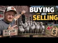 I Bought Some Rare Birds At The Chicken Auction