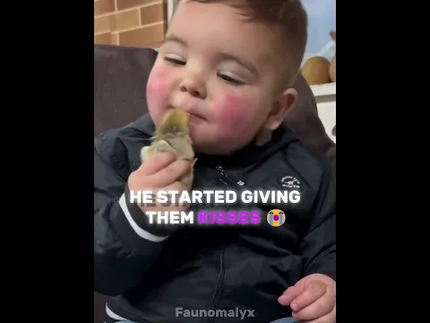 This Baby Started Kissing His Little Chicks… Then THIS Happened 🥹🐥