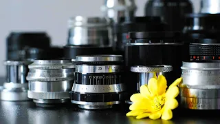 Fifteen Of The BEST M42 and L39 Screw Mount Lenses - For Peanuts