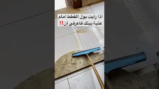 اذا رايت بول القطط امام عتبة بيتك فاعرف ان 