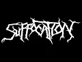 Download Lagu Suffocation - Infected the Crypts (Sala Boveda, 04/08/2022).