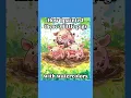 3 Little Pigs