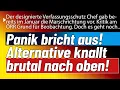 Download Lagu Hysterie bricht aus!💥Blaue kurz vor 30%! UnsereDemokratie verliert daraufhin komplett die Fassung!!
