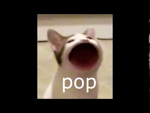 Download MP3 Pop cat sound effect (Very Short)