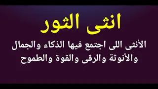 أهم صفات انثى الثور  أهم صفات انثى الثور
