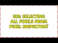 GIS Selecting all pixels from Pixel Inspector