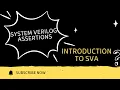 Introduction to SystemVerilog Assertions Black Box vs White Box Verification Explained