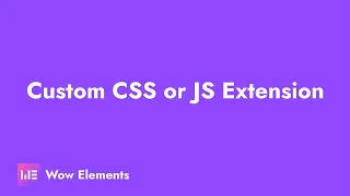 How to Use Custom CSS or JS Extension in Elementor Wow Elements Tutorial