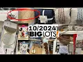NEW BIG LOTS HOME DECOR AREA RUGS KITCHEN GADGETS WALL ART TOSS PILLOWS COMFORTERS